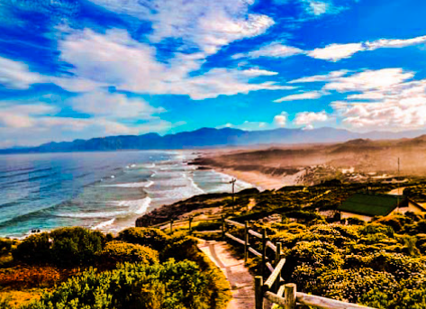 0 Bedroom Property for Sale in Mossel Bay Rural Western Cape